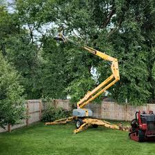 Best Tree Risk Assessment  in Dell Rapids, SD